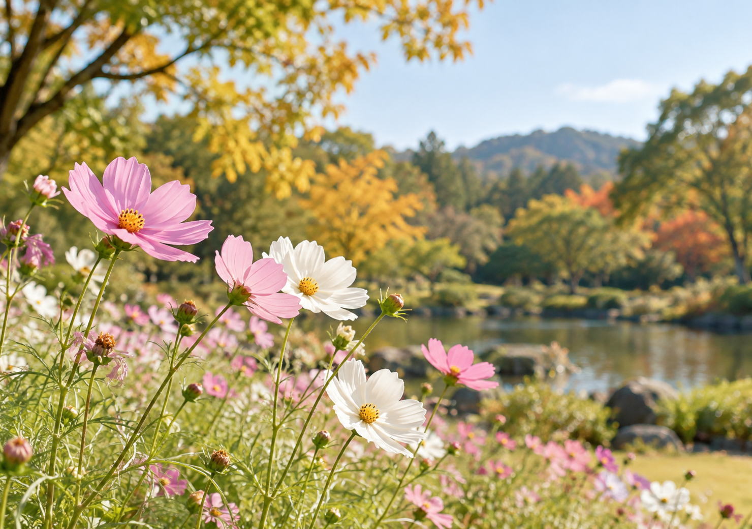 2026年10月24日開催